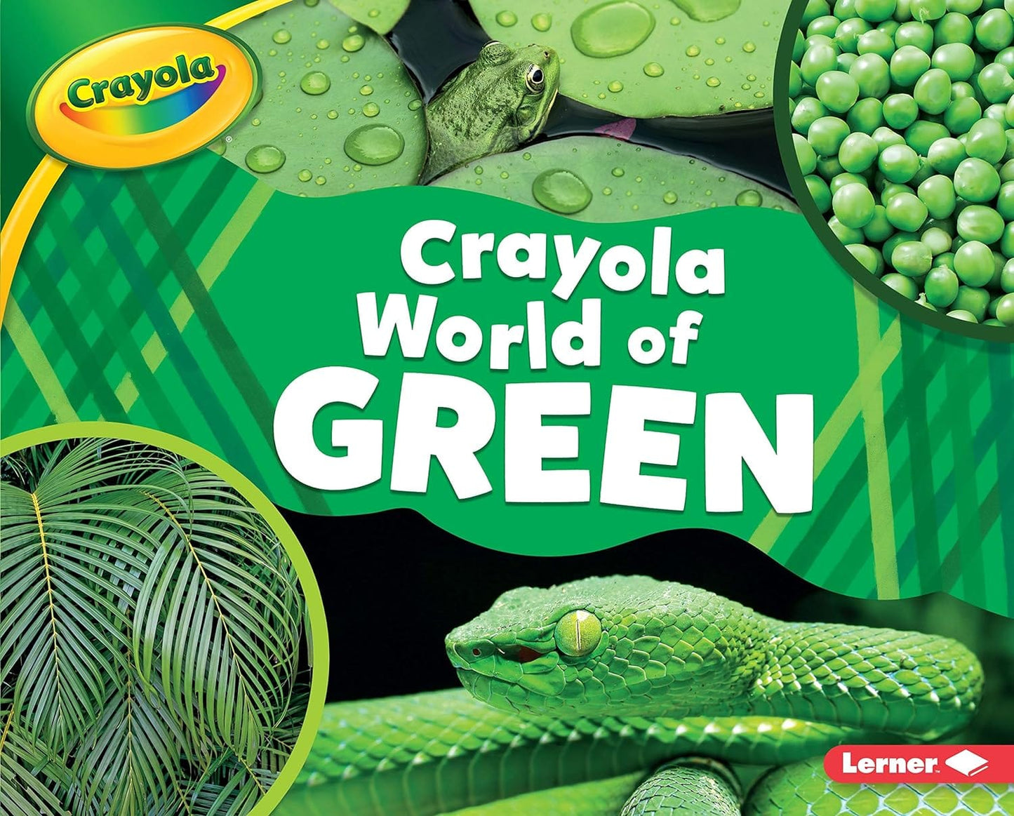 Marissa's Books & Gifts, LLC 9781541554672 Hardcover Crayola® World of Green (Crayola® World of Color)