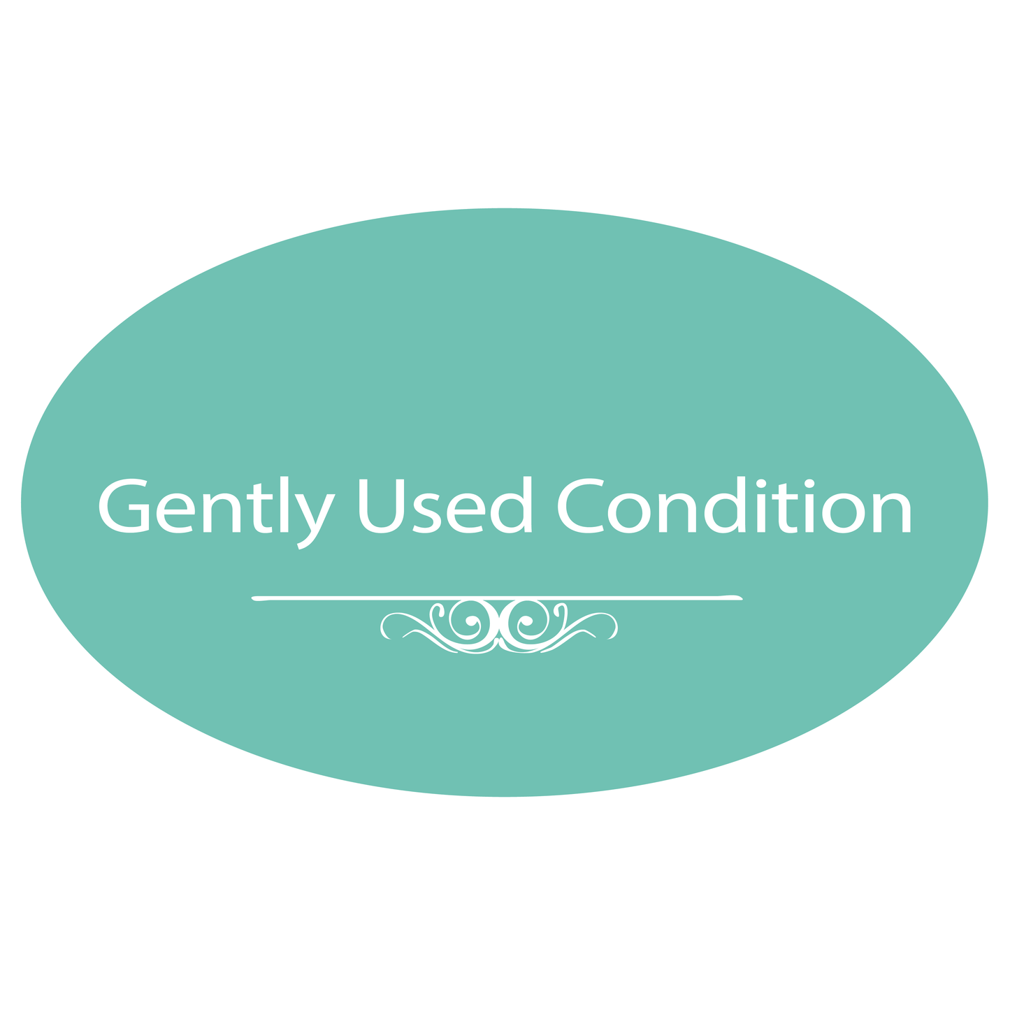 Marissa's Books & Gifts, LLC 9781538752166 The Hollow Ones: Blackwood Tapes (Book 1) (Large Print)