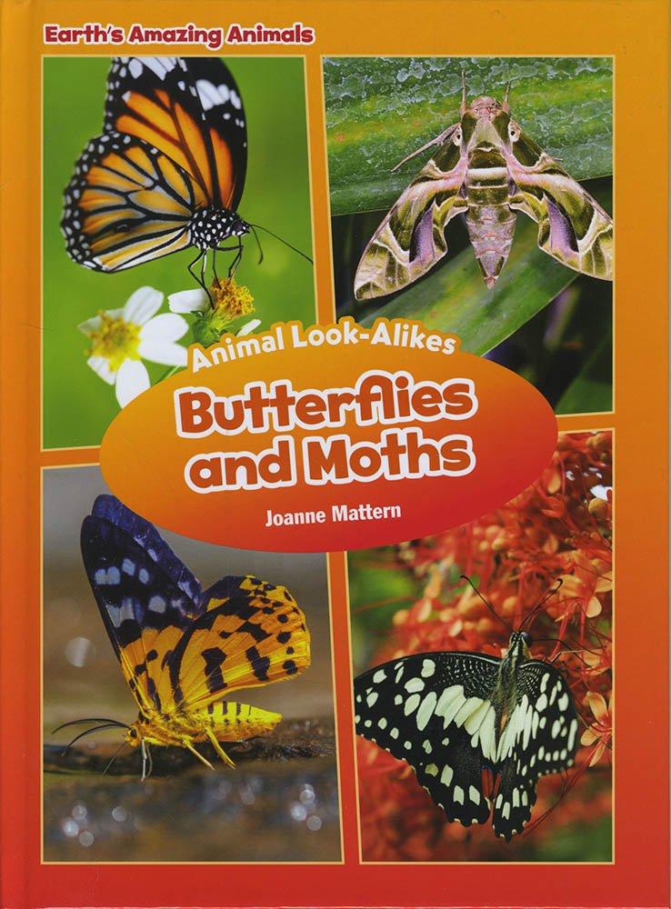 Marissa's Books | Butterflies and Moths: Animal Look-Alikes