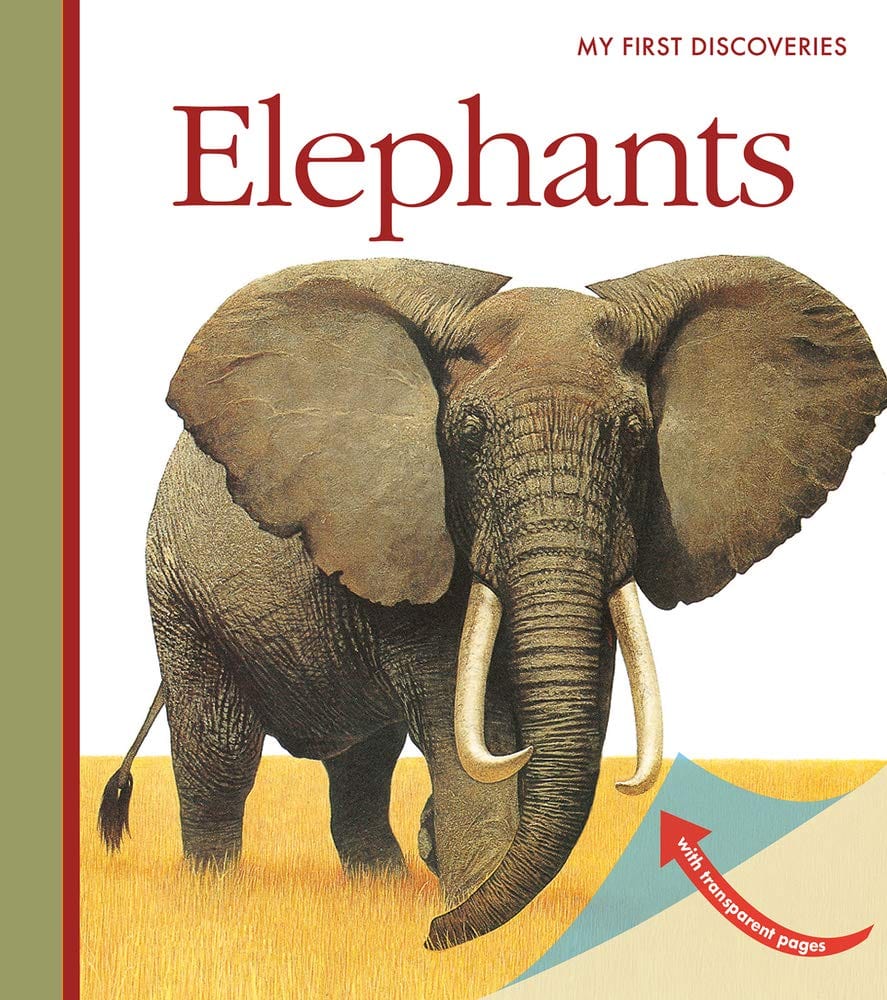 Elephants: My First Discoveries – Marissa's Books & Gifts