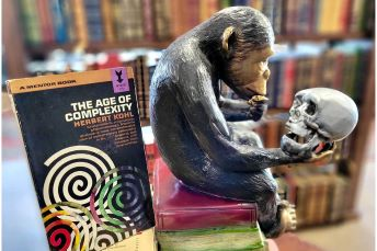 A statue of a chimpanzee holding a skull next to the book "The age of Complexity"