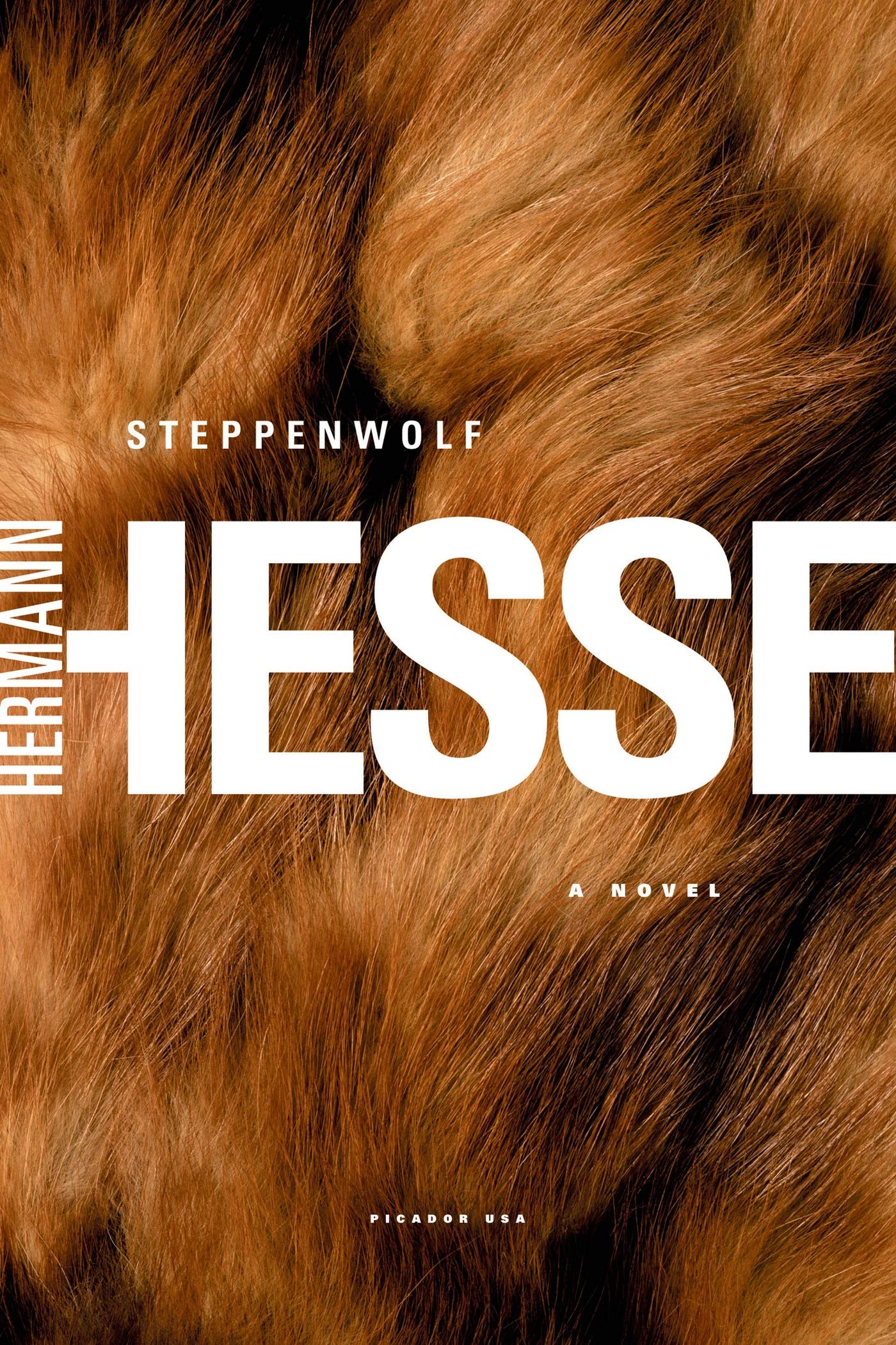 Marissa's Books & Gifts, LLC 9780312278670 Paperback Steppenwolf