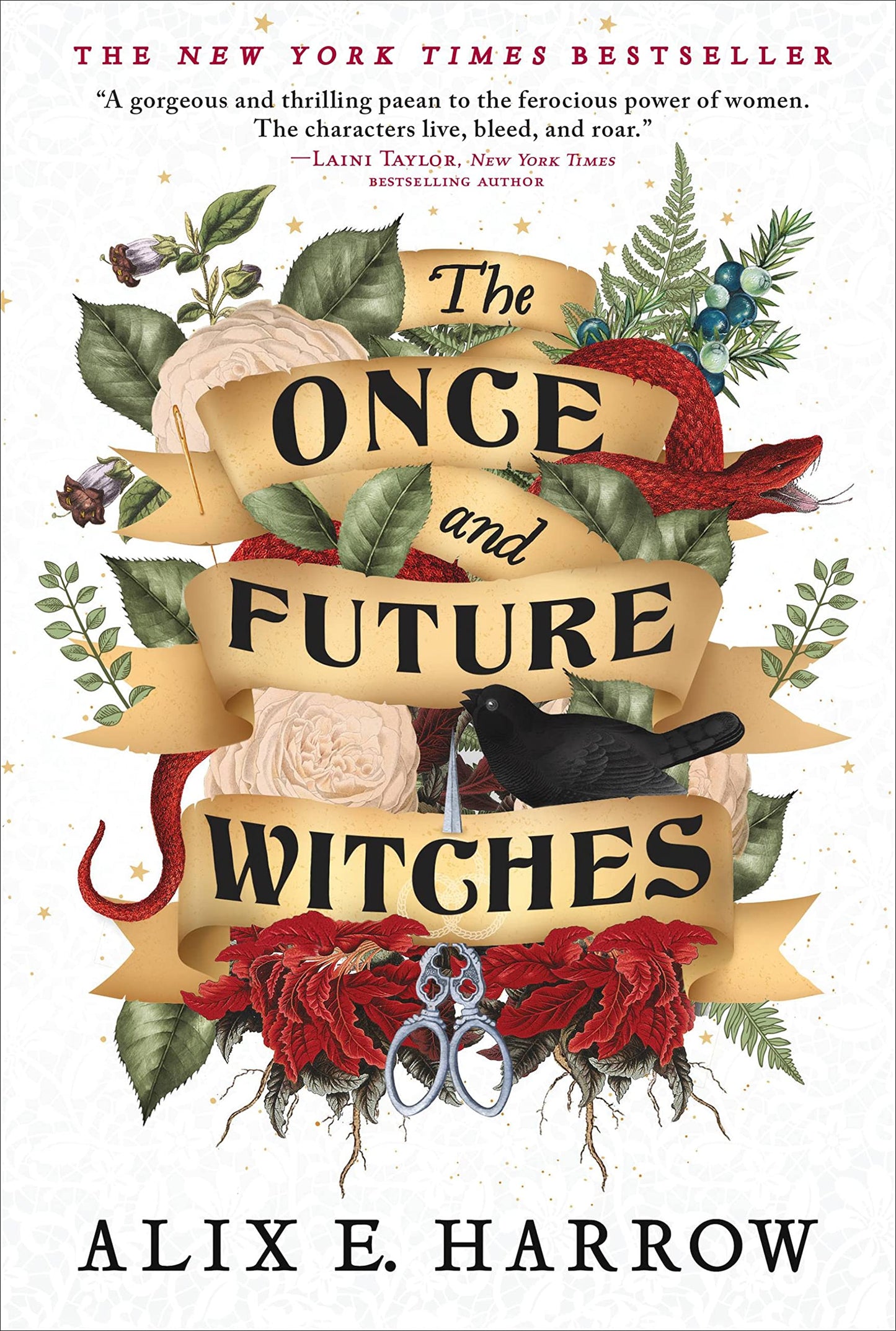 Marissa's Books & Gifts, LLC 9780316422017 Paperback The Once and Future Witches
