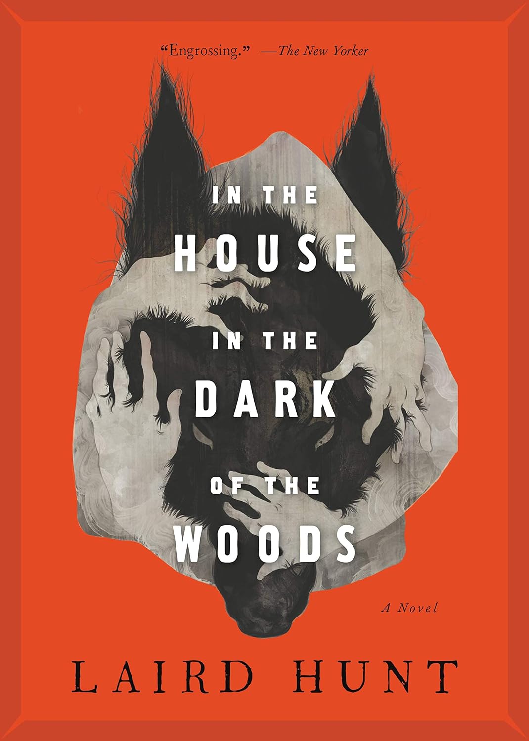 Ingram 9780316515801 Paperback In the House in the Dark of the Woods