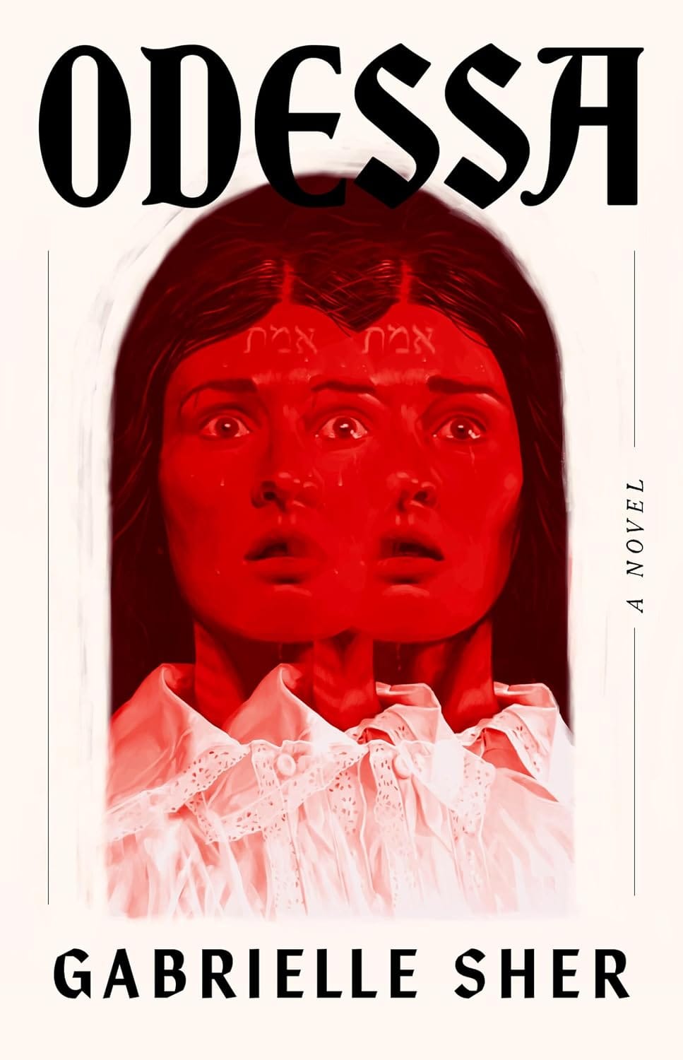 Ingram 9780316595858 Hardcover Odessa