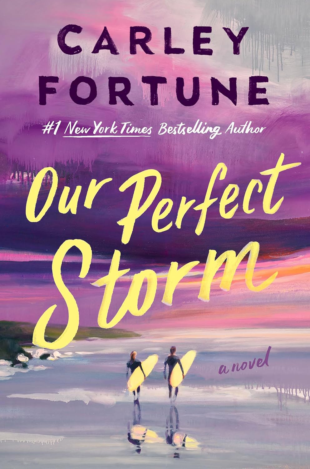 Marissa's Books & Gifts 9780593953242 Hardcover Our Perfect Storm