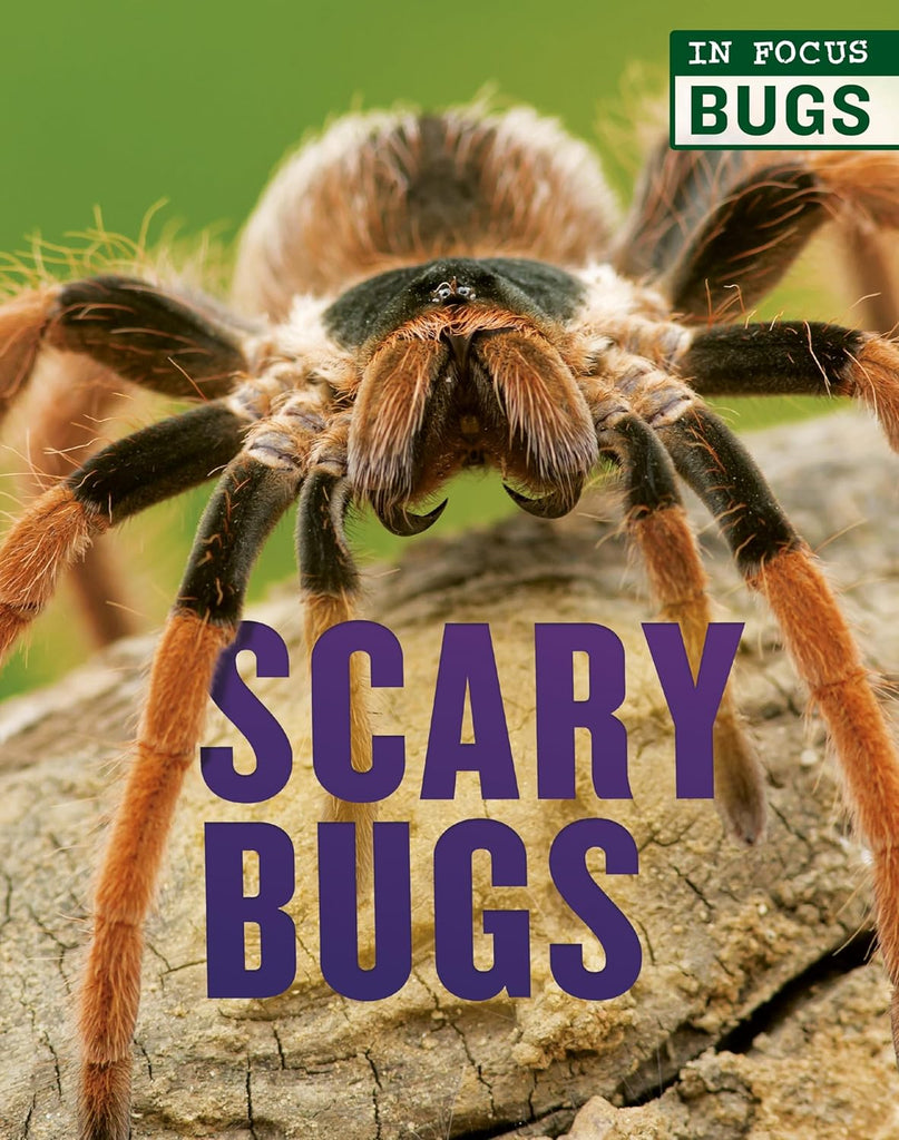 Marissa's Books & Gifts, LLC 9780711248052 Hardcover Scary Bugs (In Focus: Bugs)