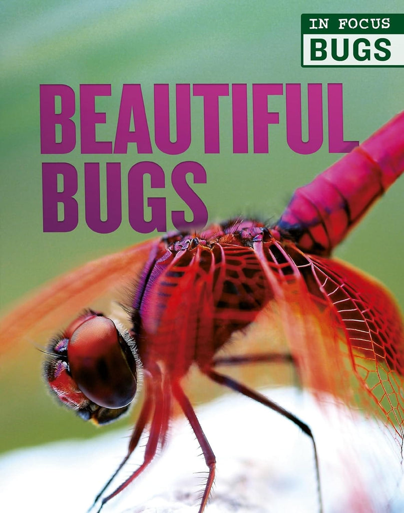 Marissa's Books & Gifts, LLC 9780711248069 Hardcover Beautiful Bugs (In Focus: Bugs)