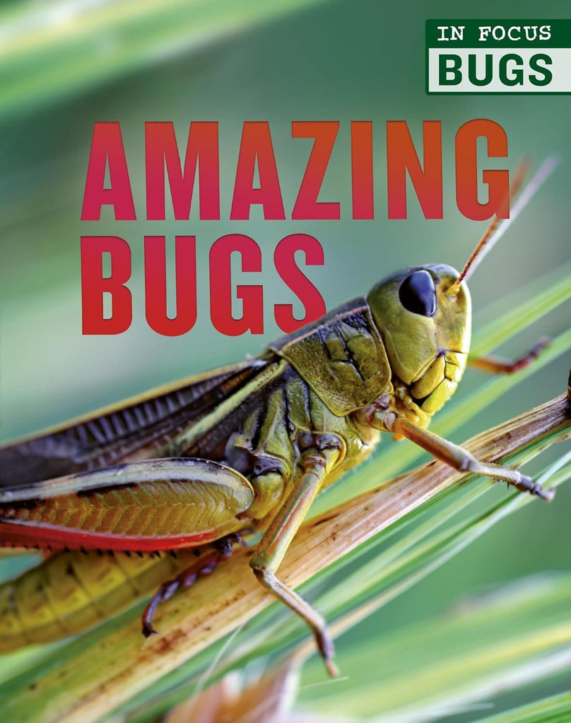 Marissa's Books & Gifts, LLC 9780711248076 Hardcover Amazing Bugs (In Focus: Bugs)