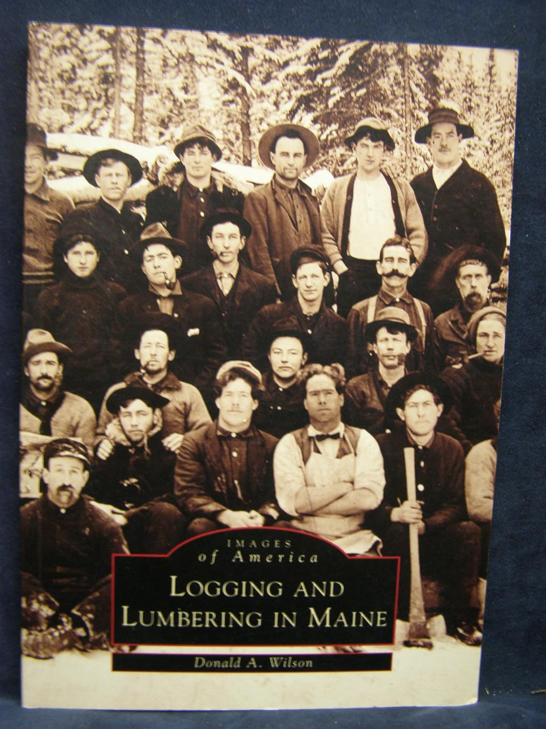 Marissa's Books & Gifts, LLC 9780738505213 Logging and Lumbering in Maine (ME) (Images of America)