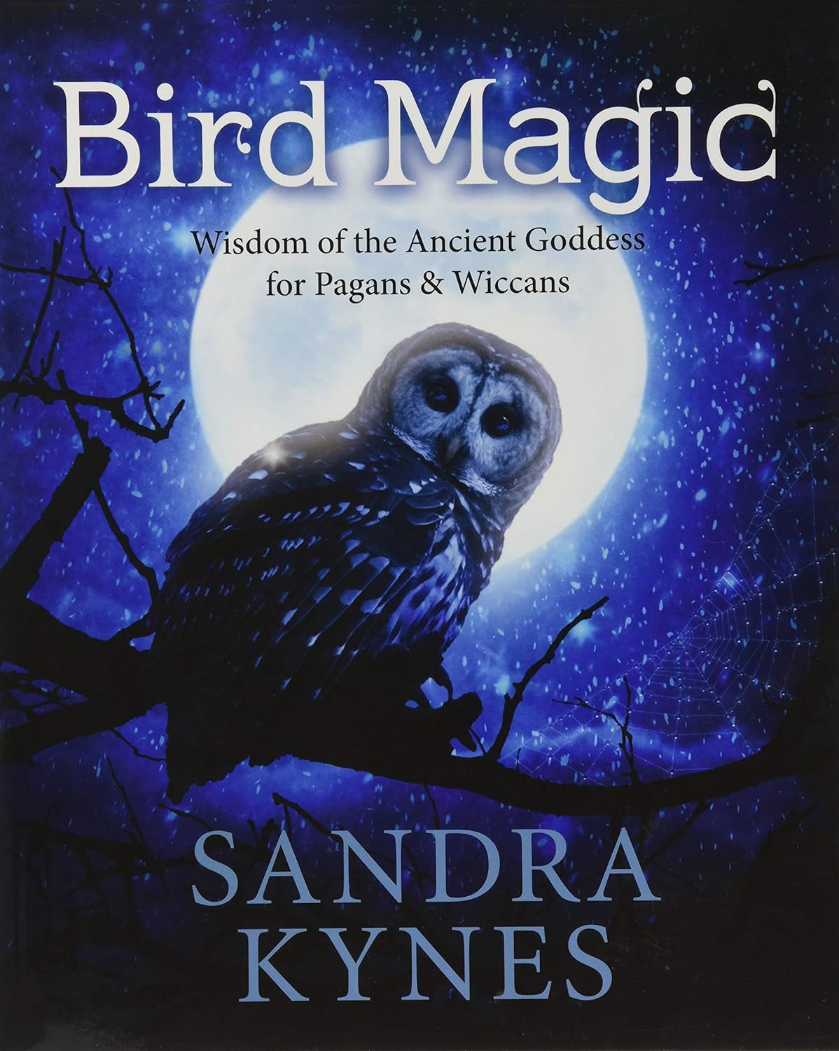 Marissa's Books & Gifts, LLC 9780738748641 Bird Magic: Wisdom of the Ancient Goddess for Pagans & Wiccans