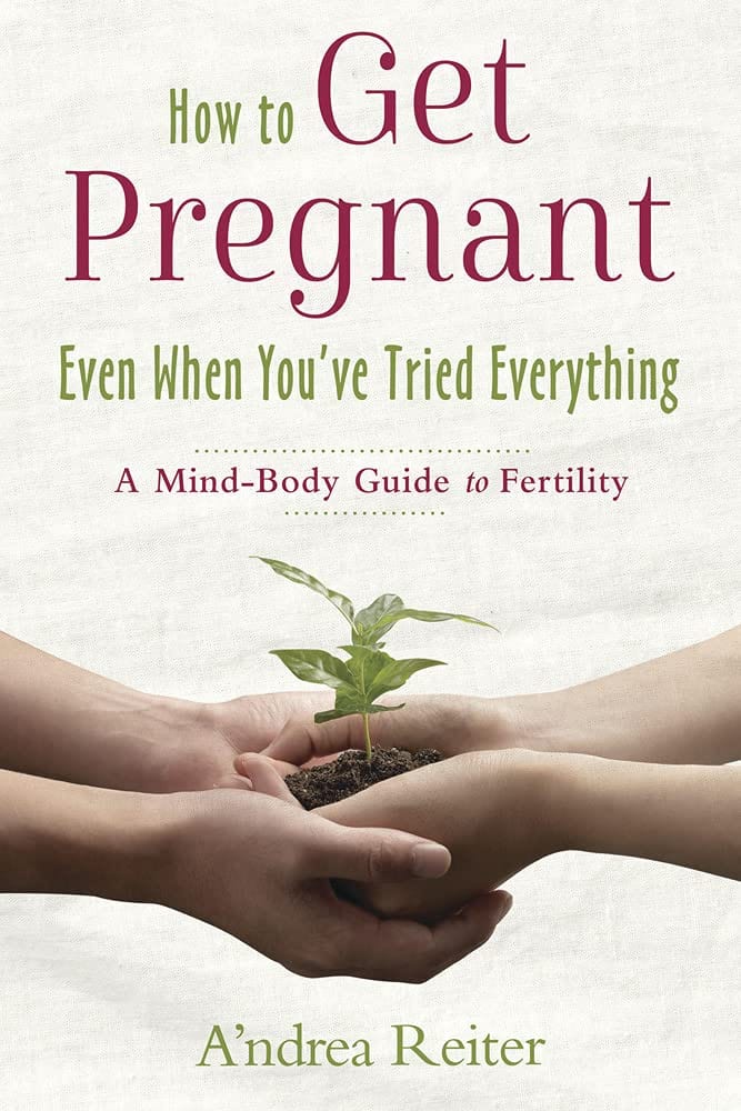 Marissa's Books & Gifts, LLC 9780738756967 How to Get Pregnant, Even When You've Tried Everything: A Mind-Body Guide to Fertility