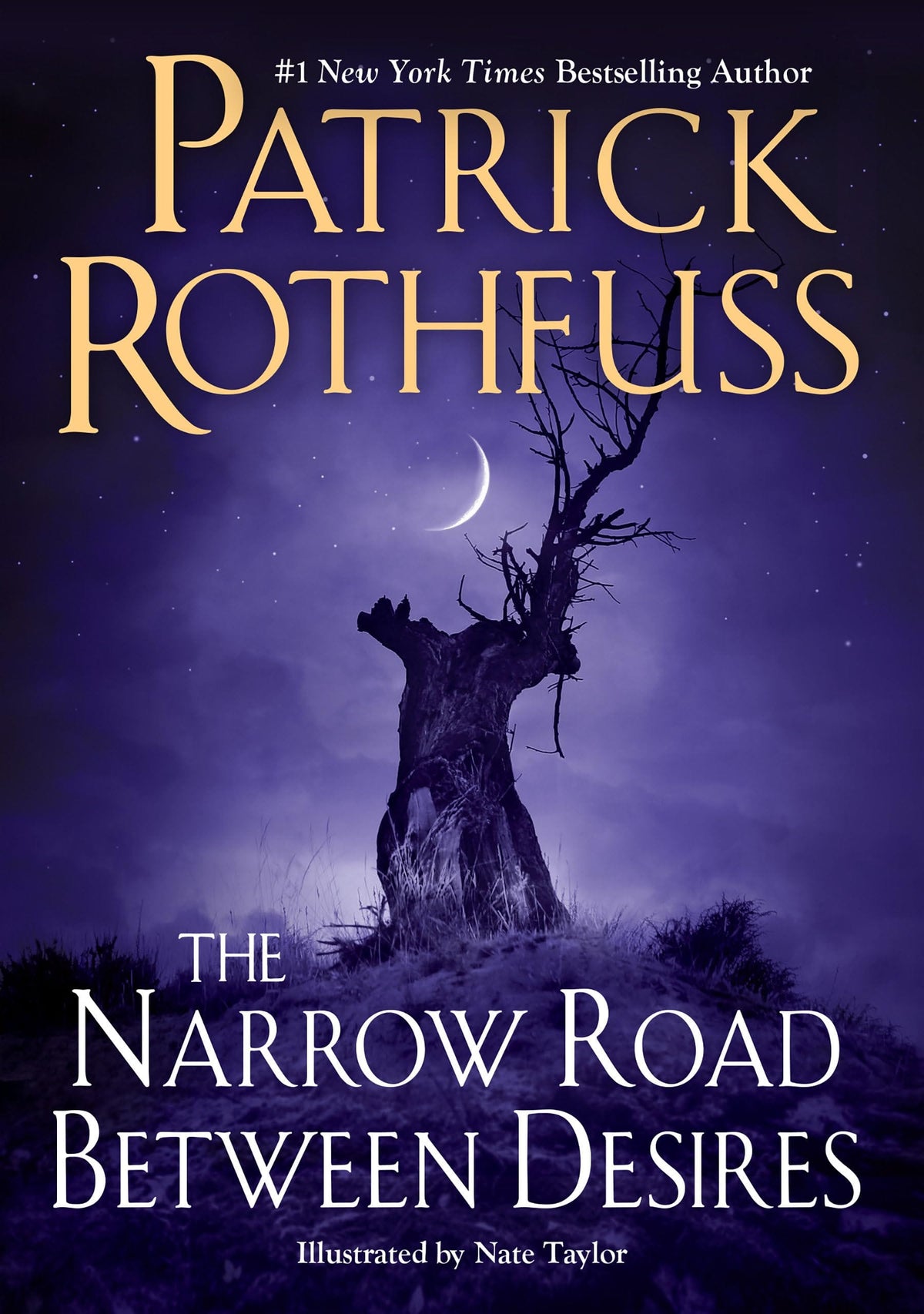 Marissa's Books & Gifts, LLC 9780756419172 The Narrow Road Between Desires (Kingkiller Chronicle)