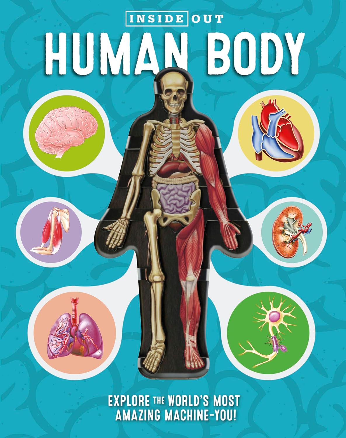 Marissa's Books & Gifts, LLC 9780760355312 Inside Out Human Body: Explore the World's Most Amazing Machine-You!