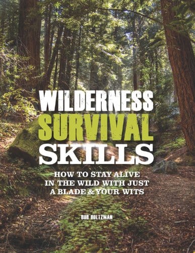 Marissa's Books & Gifts, LLC 9780785828754 Wilderness Survival Skills: How to Survive in the Wild with just a Blade and Your Wits