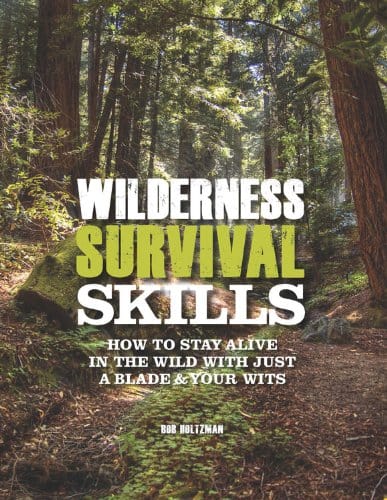 Outdoor Survival: A Step-by-Step Guide to Practical Bush Craft and Survival  Outdoors - Pearce, David: 9781844259465 - AbeBooks