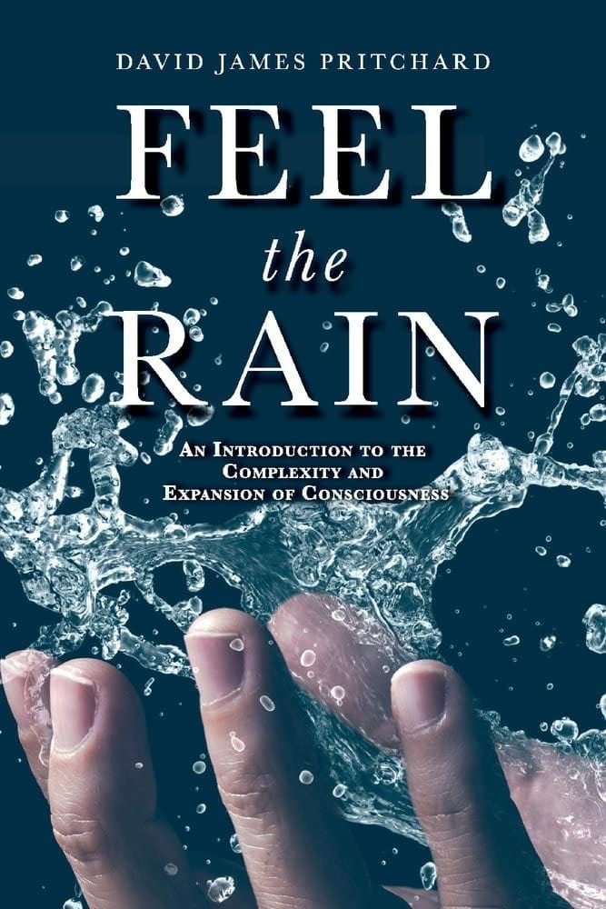 Marissa's Books & Gifts, LLC 9781098378400 Feel The Rain: An Introduction to the Complexity and Expansion of Consciousness