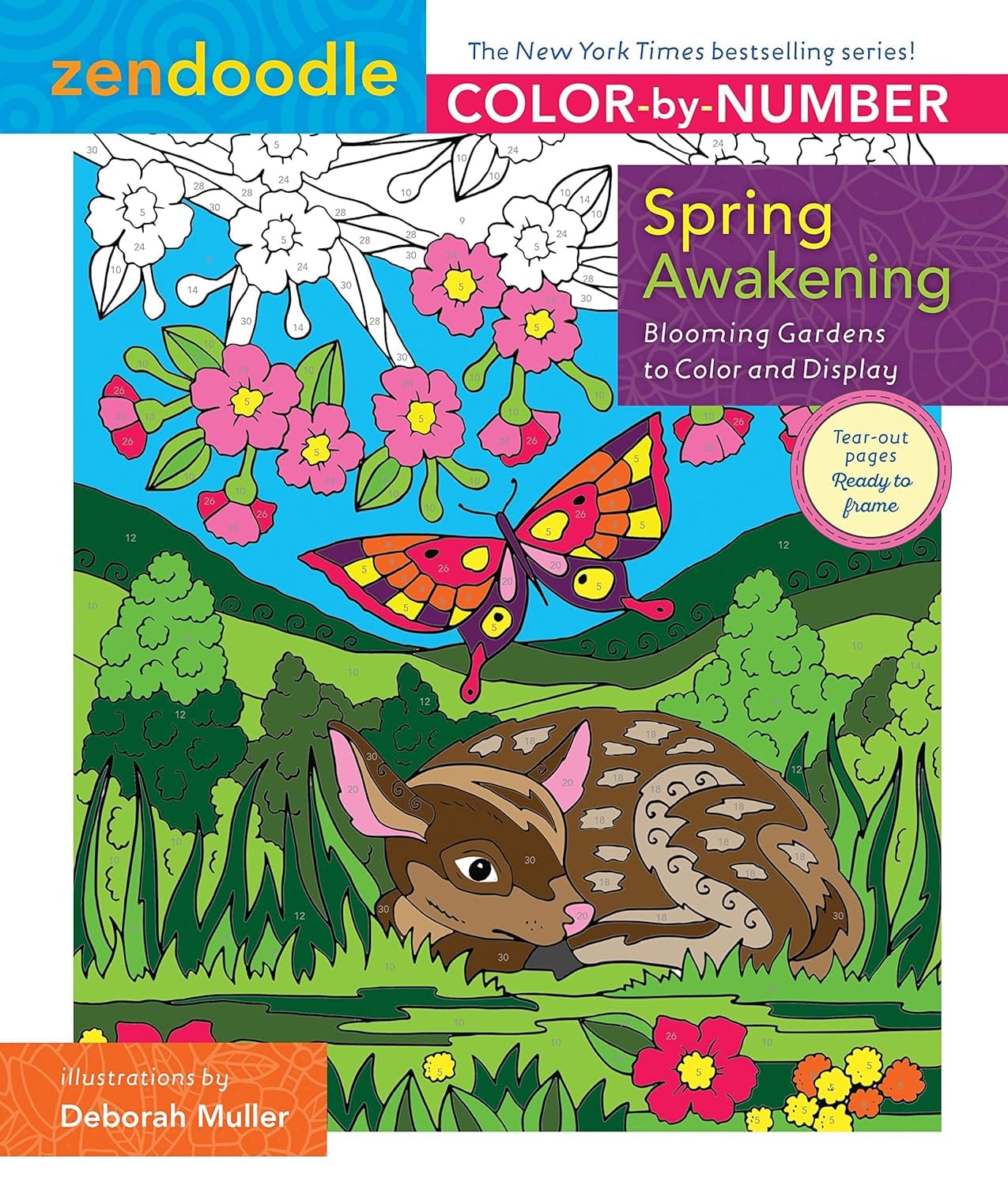 Marissa's Books & Gifts, LLC 9781250149206 Zendoodle Color-by-Number: Spring Awakening: Blooming Gardens to Color and Display