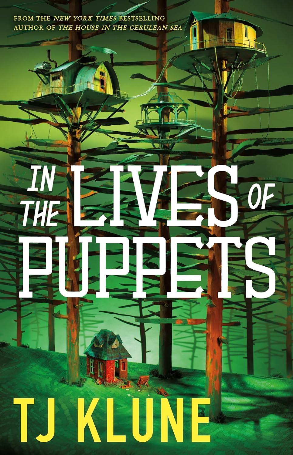Marissa's Books & Gifts, LLC 9781250217448 In the Lives of Puppets