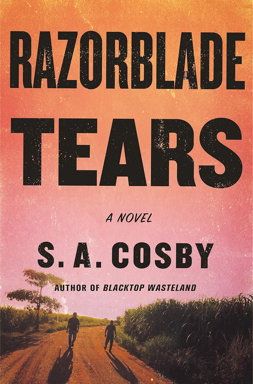 Marissa's Books & Gifts, LLC 9781250252715 Paperback Razorblade Tears