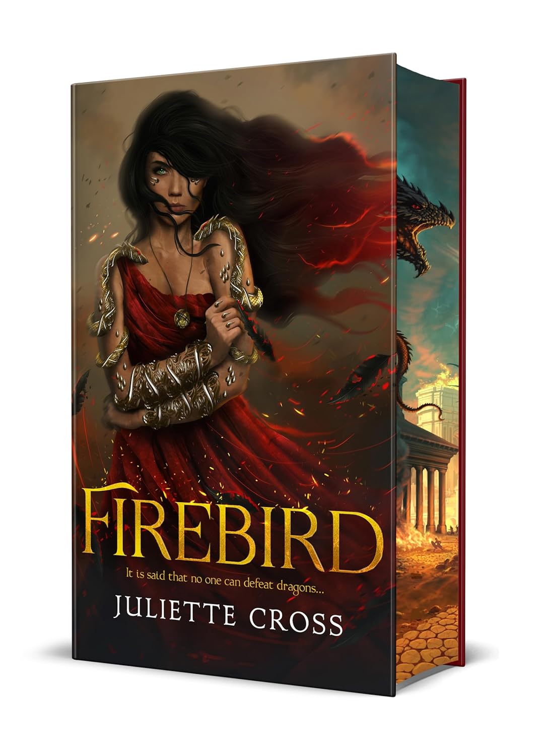 Marissa's Books & Gifts 9781250339942 Hardcover Special Edition Firebird (The Fire That Binds, Book 1) Special Edition