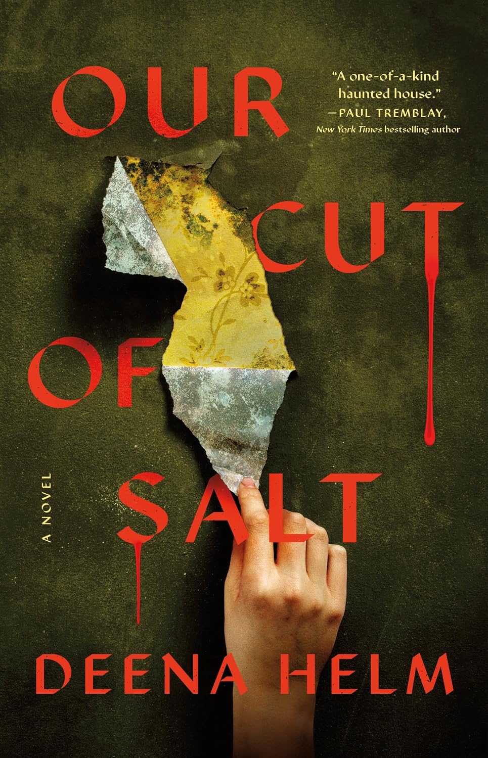 Ingram 9781250434661 Hardcover Our Cut of Salt