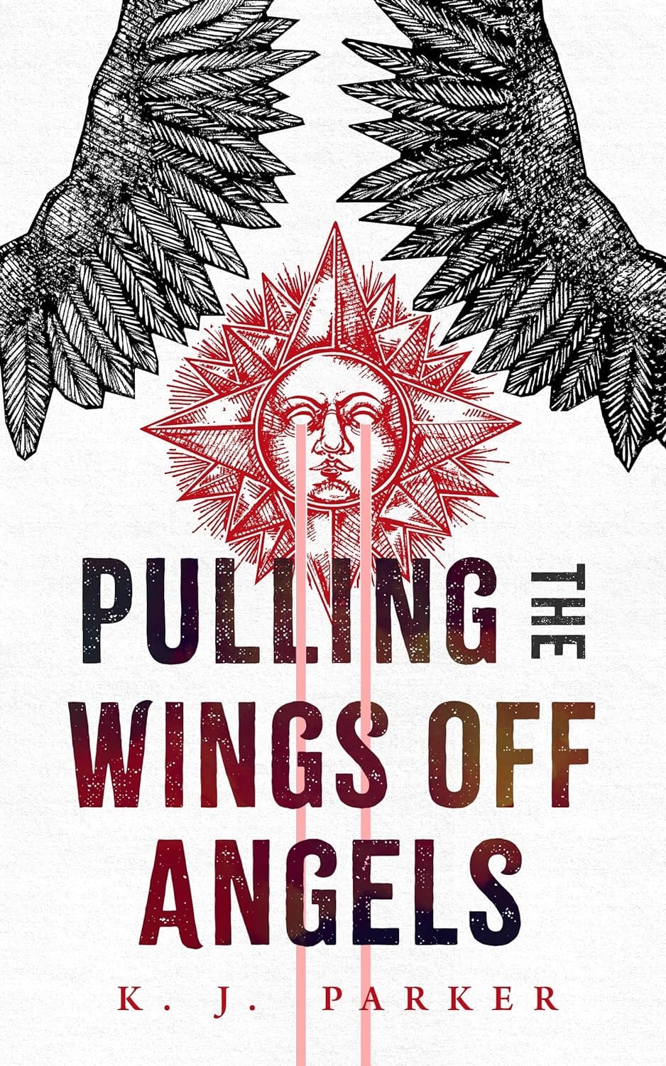 Marissa's Books & Gifts, LLC 9781250835765 Paperback Pulling the Wings Off Angels