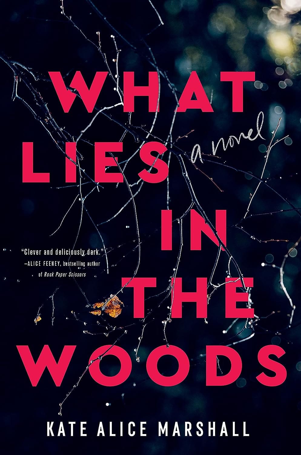 Marissa's Books & Gifts, LLC 9781250859891 What Lies in the Woods