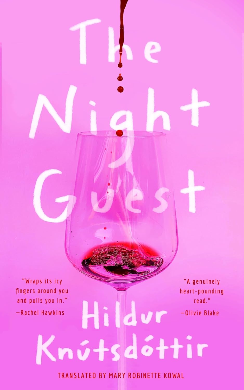 Ingram 9781250876317 Paperback The Night Guest