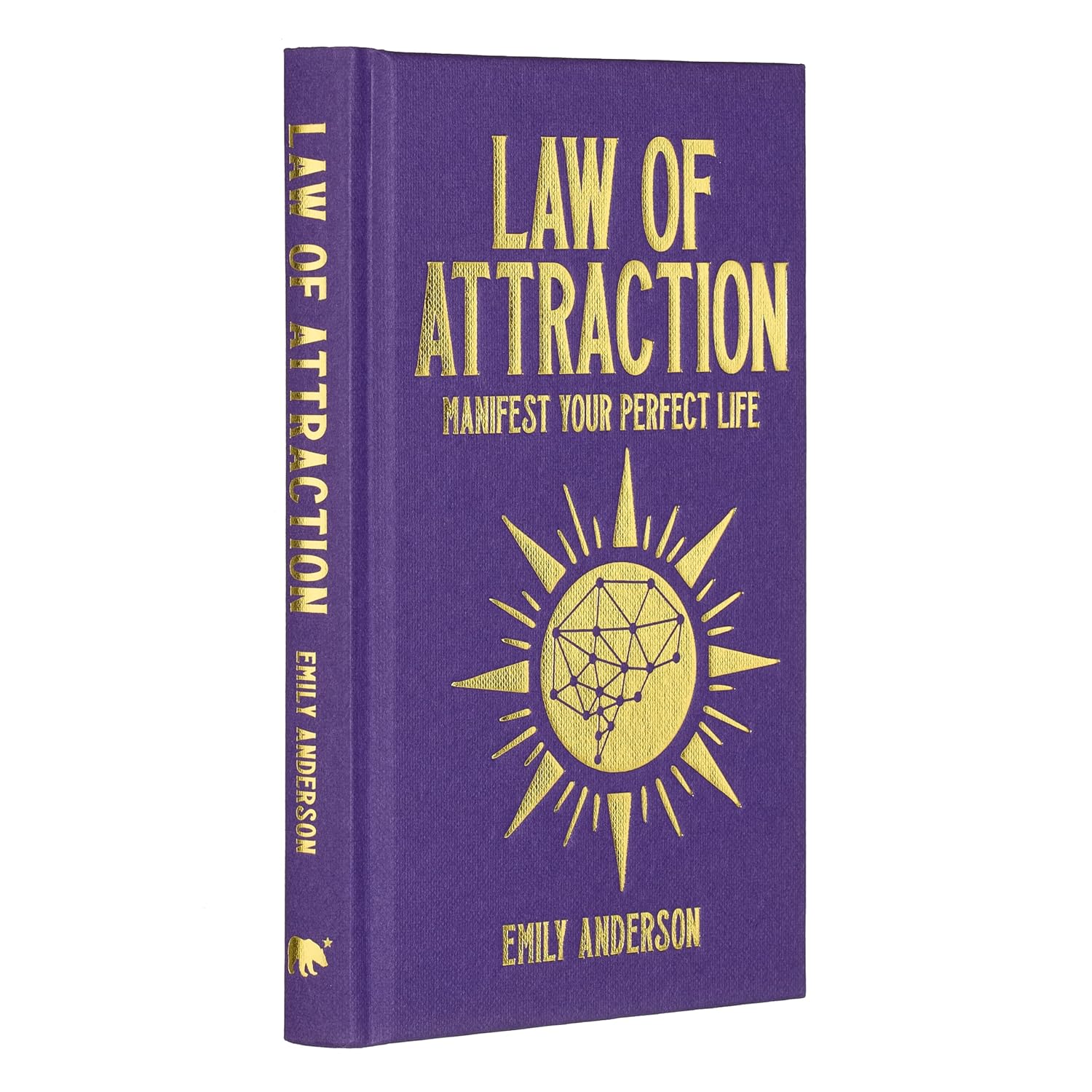 Marissa's Books & Gifts 9781398834149 Hardcover Law of Attraction: Manifest Your Perfect Life