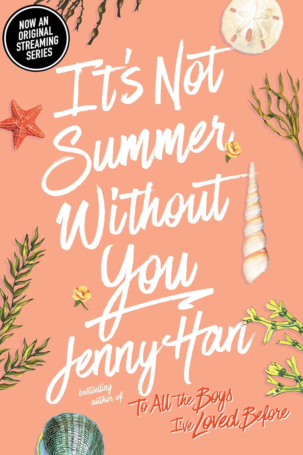 Marissa's Books & Gifts 9781416995562 Paperback It's Not Summer Without You (The Summer I Turned Pretty, Book 2)