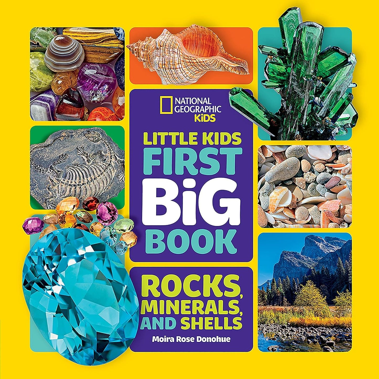 Marissa's Books & Gifts, LLC 9781426372223 Hardcover Little Kids First Big Book of Rocks, Minerals & Shells (National Geographic Little Kids First Big Books)