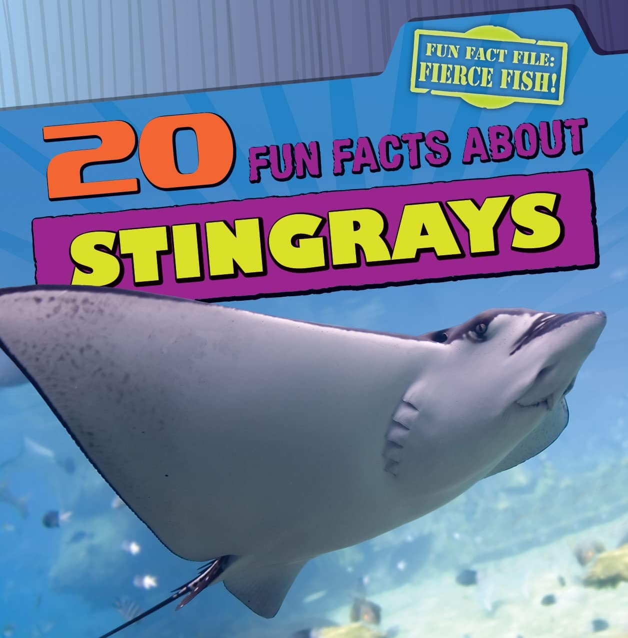 Marissa's Books & Gifts, LLC 9781433969928 Paperback 20 Fun Facts About Stingrays (Fun Fact File: Fierce Fish!)