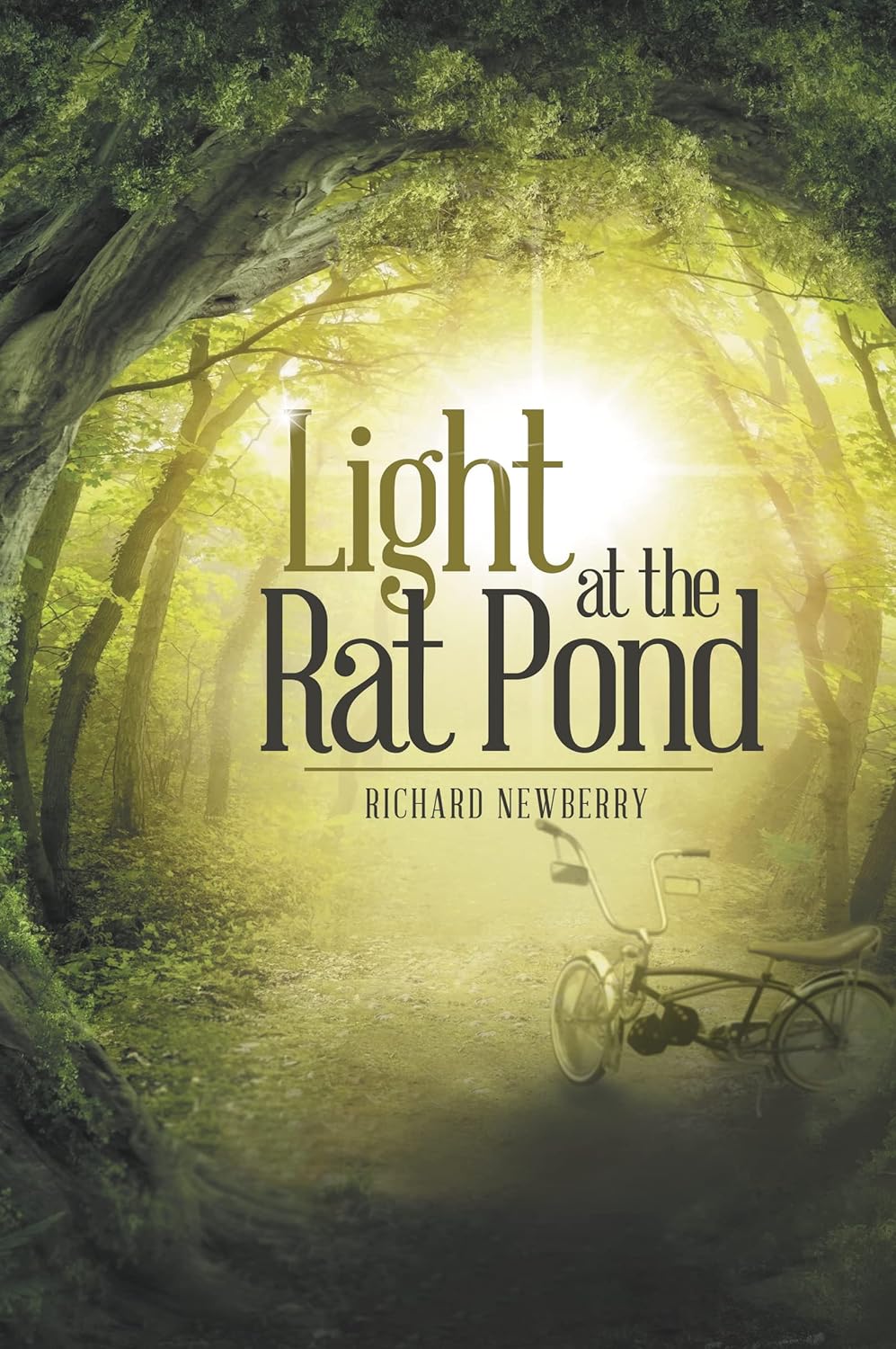 Marissa's Books & Gifts, LLC 9781490859538 Light at the Rat Pond