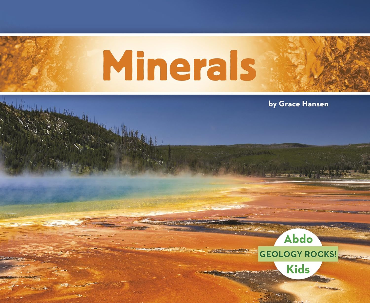 Marissa's Books & Gifts, LLC 9781496610386 Paperback Minerals (Geology Rocks!)