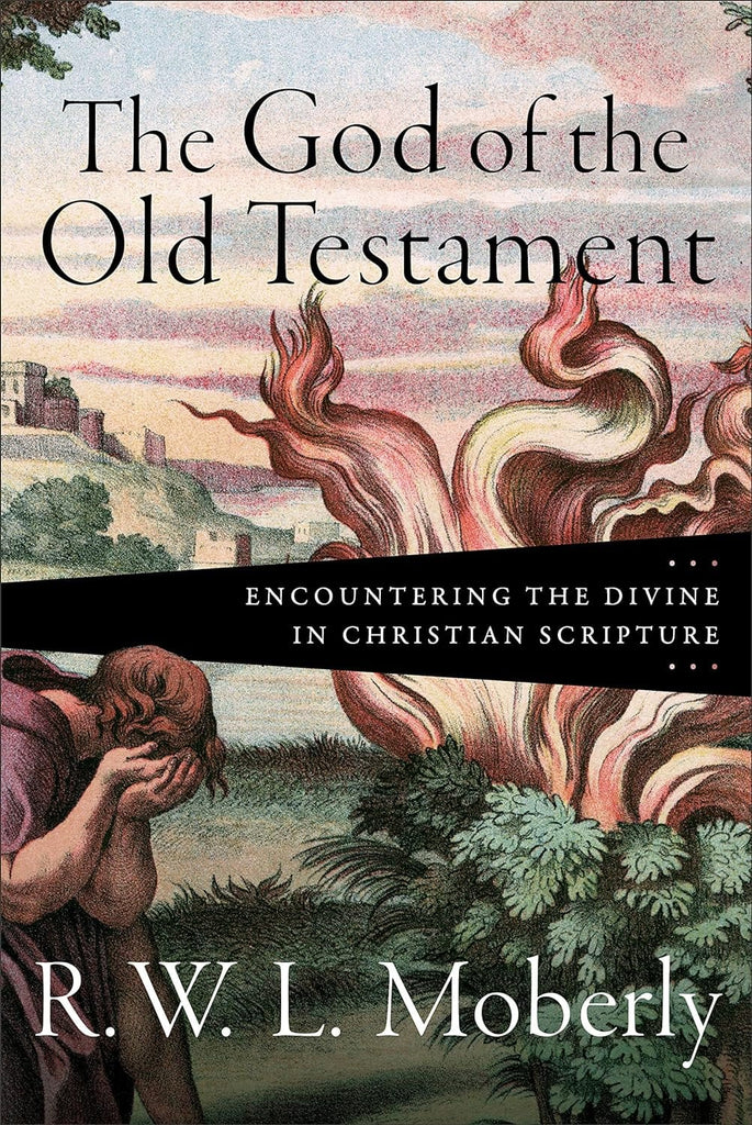Marissa's Books & Gifts, LLC 9781540962997 Hardcover The God of the Old Testament: Encountering the Divine in Christian Scripture