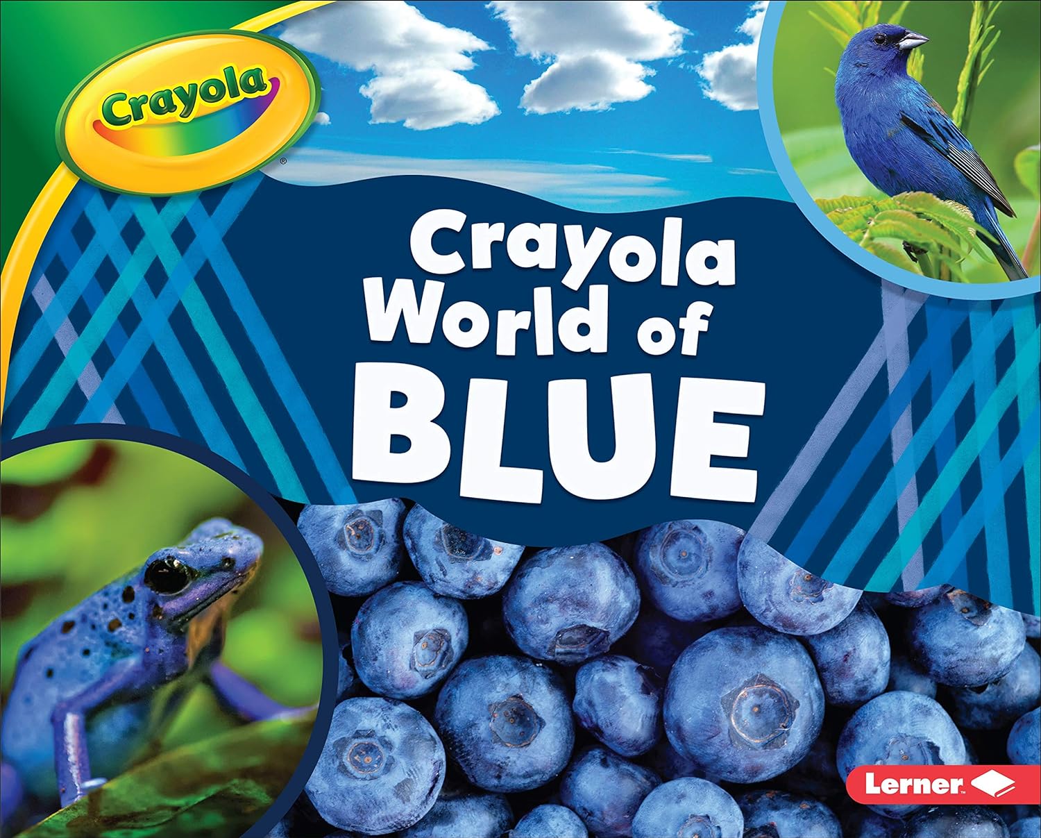 Marissa's Books & Gifts, LLC 9781541554658 Crayola ® World of Blue: Crayola ® World of Color