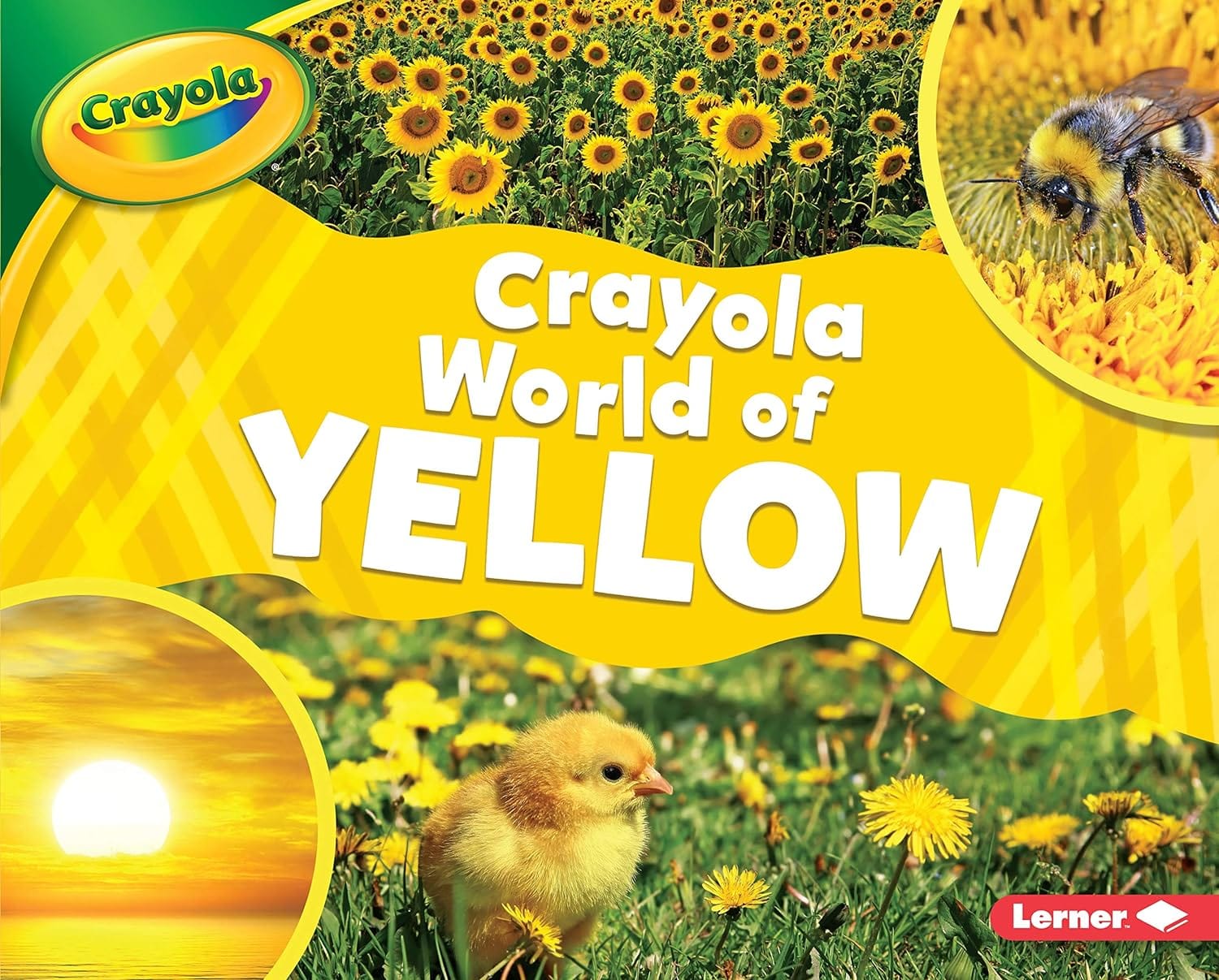 Marissa's Books & Gifts, LLC 9781541554689 Crayola ® World of Yellow: Crayola ® World of Color