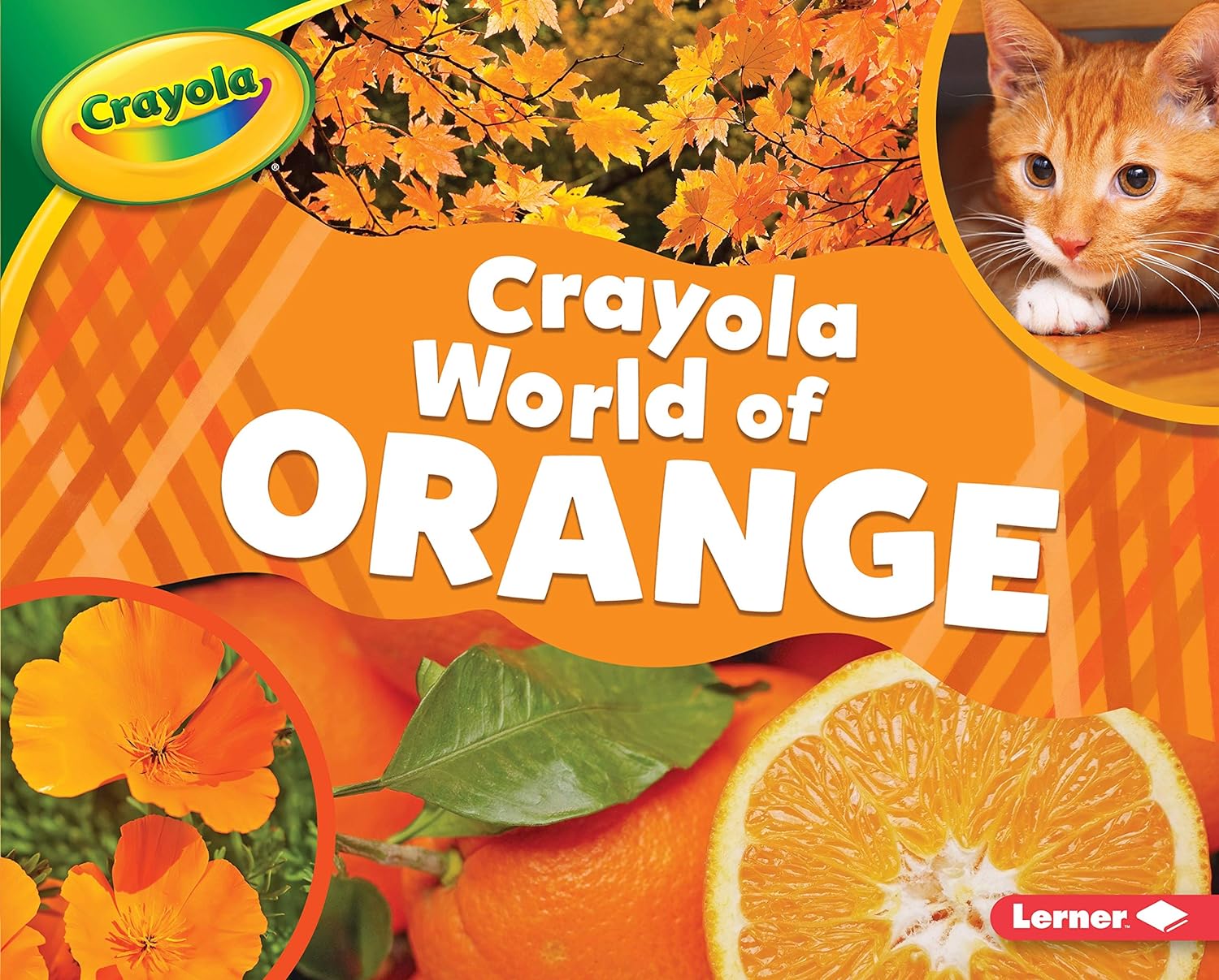 Marissa's Books & Gifts, LLC 9781541554702 Hardcover Crayola® World of Orange (Crayola® World of Color)