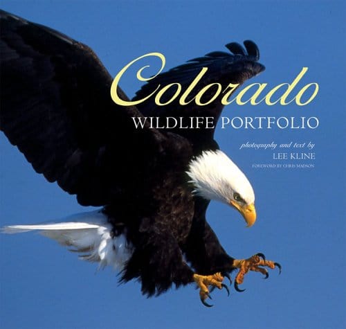 Marissa's Books & Gifts, LLC 9781560373568 Hardcover Colorado Wildlife Portfolio