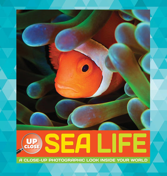 Marissa's Books & Gifts, LLC 9781633220454 Sea Life: Up Close