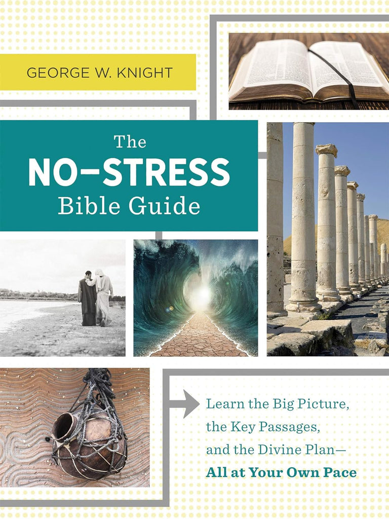 Marissa's Books & Gifts, LLC 9781643520186 Paperback The No-Stress Bible Guide: Learn the Big Picture, the Key Passages, and the Divine Plan―All at Your Own Pace
