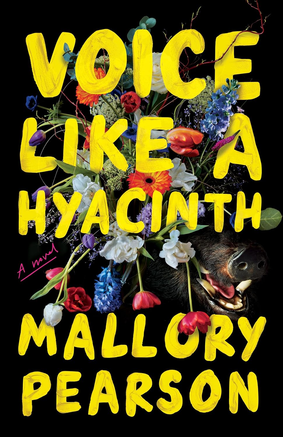 Ingram 9781662515422 Paperback Voice Like a Hyacinth