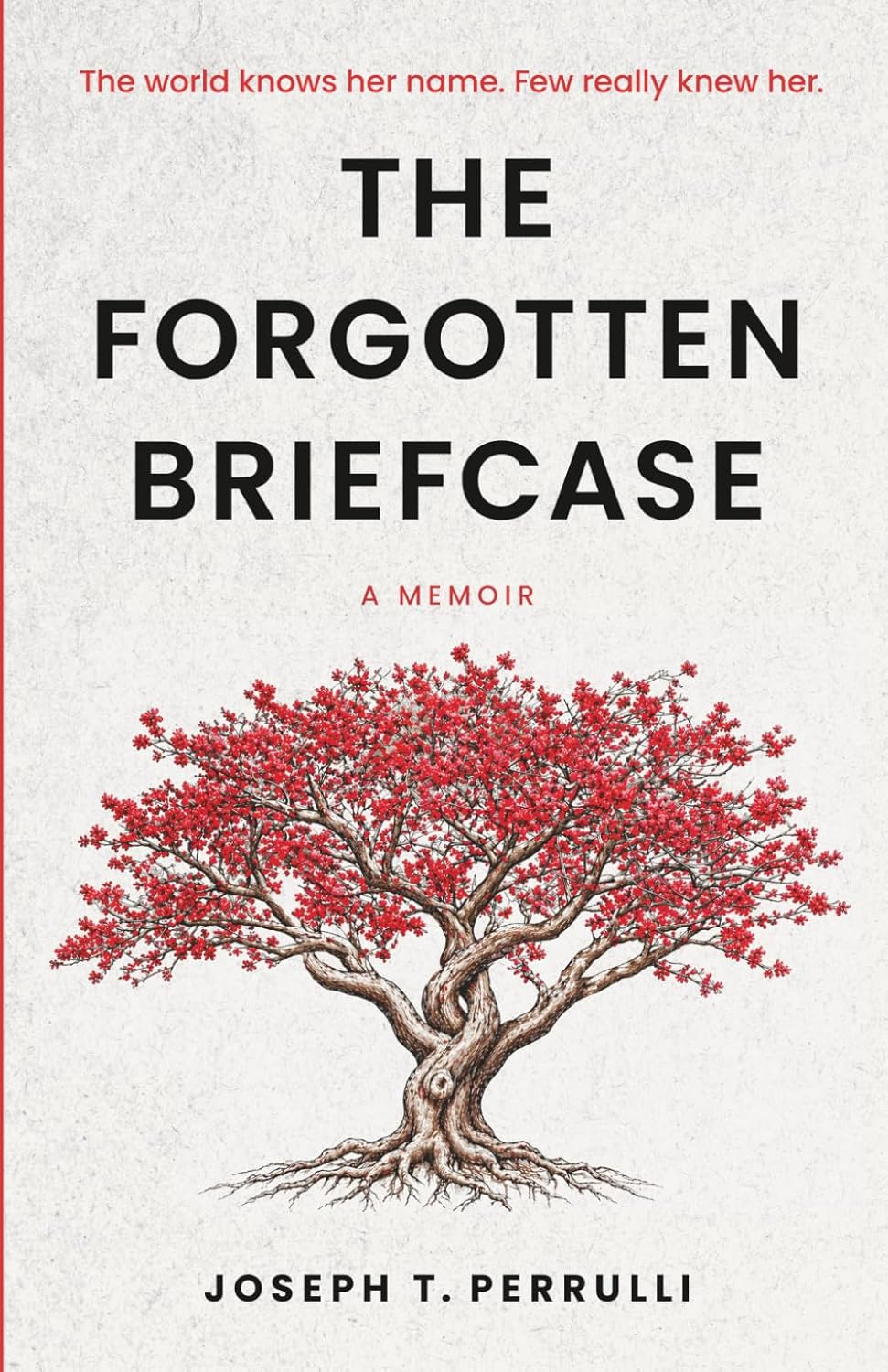 Ingram 9781732101586 Paperback The Forgotten Briefcase: A Memoir
