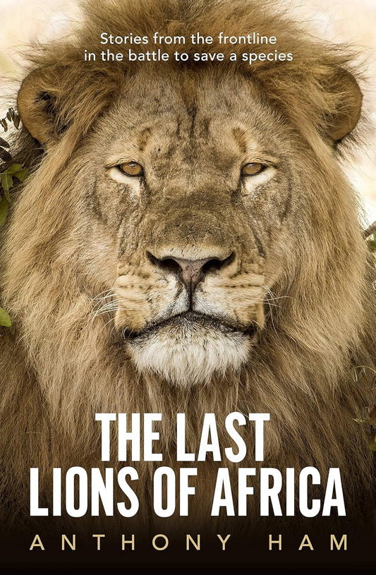 Marissa's Books & Gifts, LLC 9781760875756 Paperback The Last Lions of Africa: Stories from the Frontline in the Battle to Save a Species