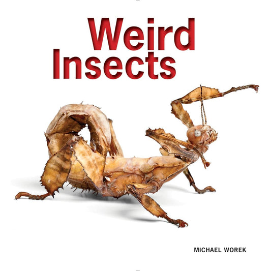 Marissa's Books & Gifts, LLC 9781770852358 Weird Insects