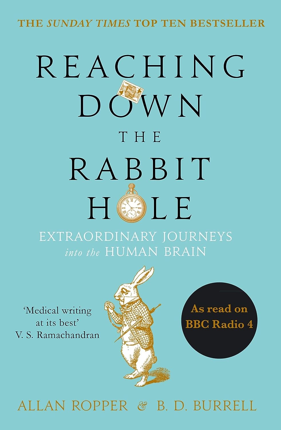 Marissa's Books & Gifts, LLC 9781782395508 Reaching Down the Rabbit Hole: Extraordinary Journeys into the Human Brain