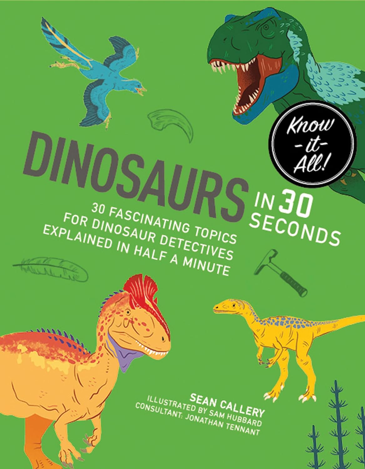 Marissa's Books & Gifts, LLC 9781782405290 Dinosaurs in 30 Seconds