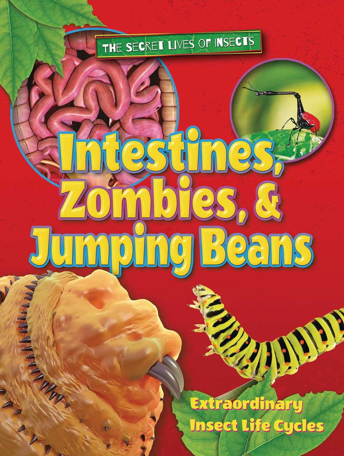 Marissa's Books & Gifts, LLC 9781788560085 Intestines, Zombies, and Jumping Beans : Extraordinary Insect Life Cycles