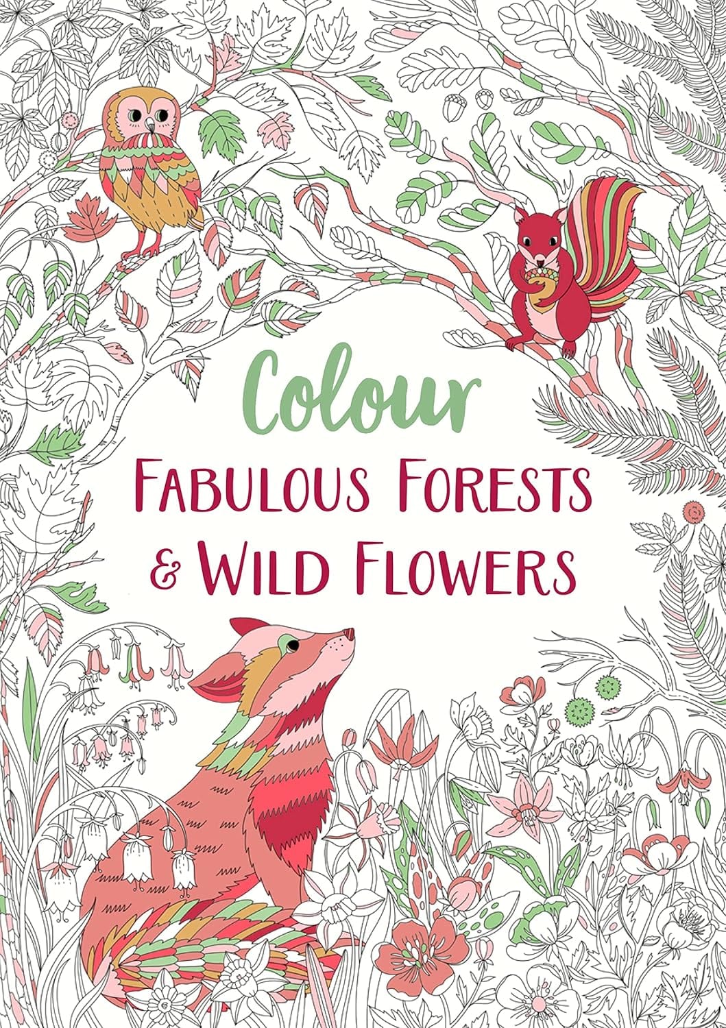 Marissa's Books & Gifts, LLC 9781789293241 Paperback Colour Fabulous Forests & Wild Flowers: Colour Yourself Calm